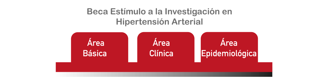 Becas de estimulo